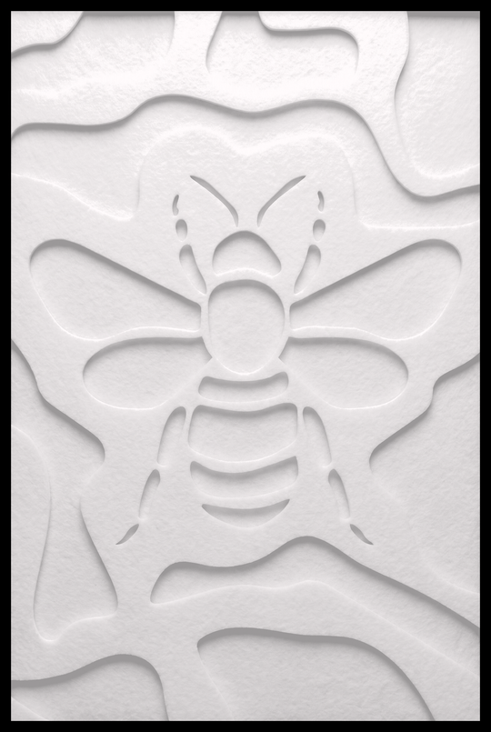 Hommel inliggend – Madelief Wit (124_NL)