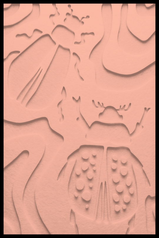 Kevers inliggend – Blush (17)