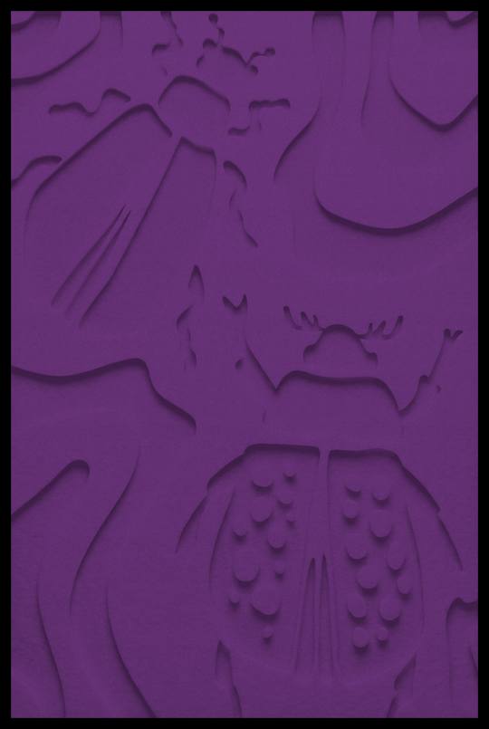 Kevers inliggend – Purple (41)