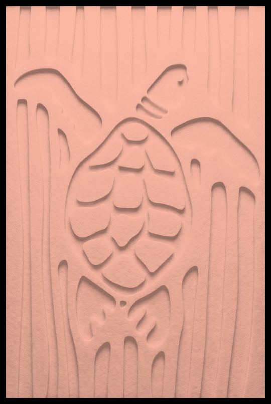 Schildpad inliggend – Blush (17)