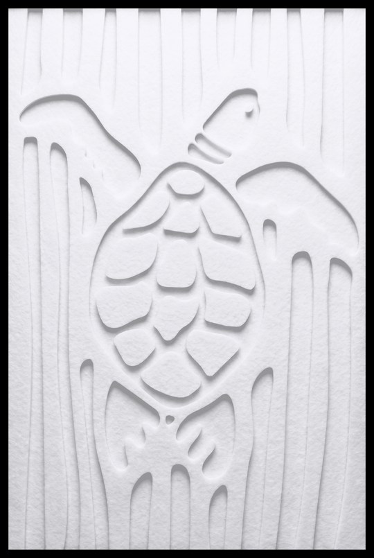 Schildpad inliggend – White (20)