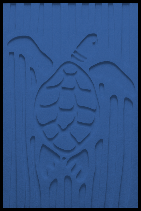 Schildpad inliggend – Middle Blue (27)