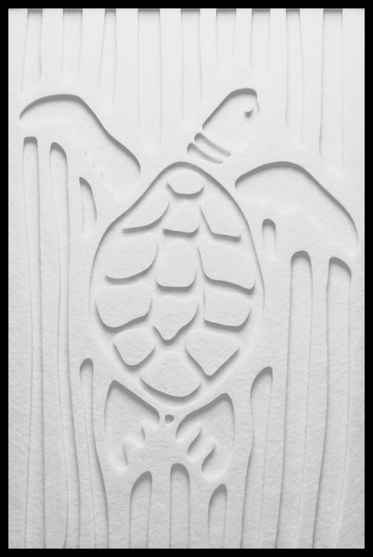 Schildpad inliggend – Snow (88)