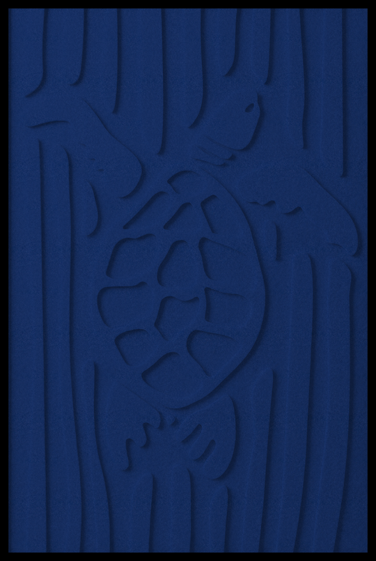 Schildpad opliggend – Dark Blue (01)