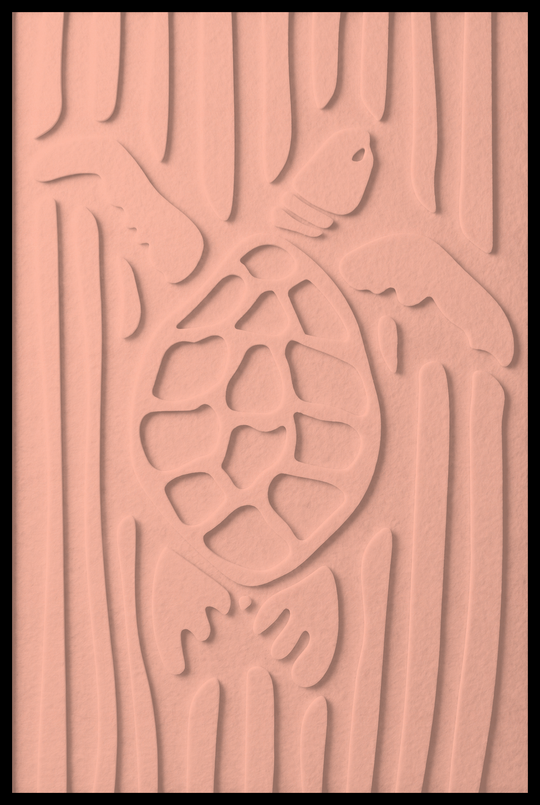 Schildpad opliggend – Blush (17)