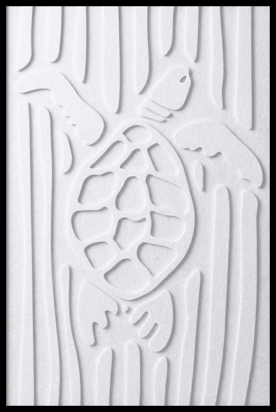 Schildpad opliggend – White (20)