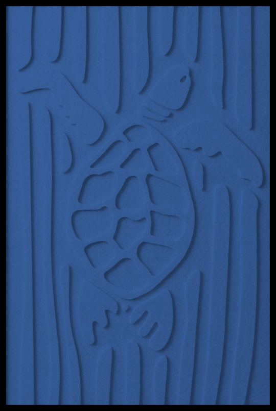 Schildpad opliggend – Middle Blue (27)