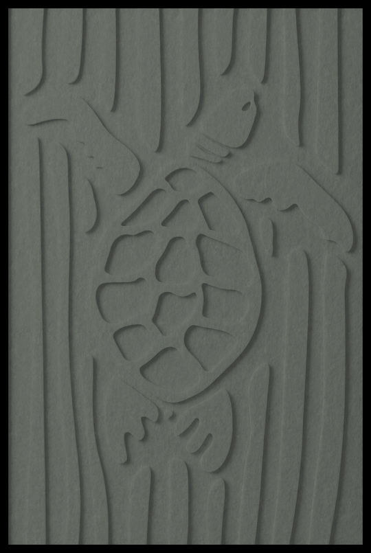 Schildpad opliggend – Eucalyptus (372_NL)