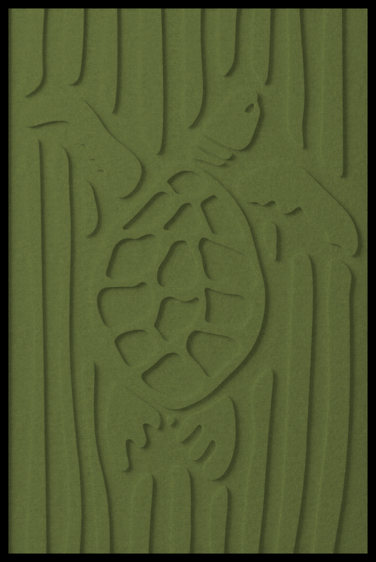 Schildpad opliggend – Olive (48)