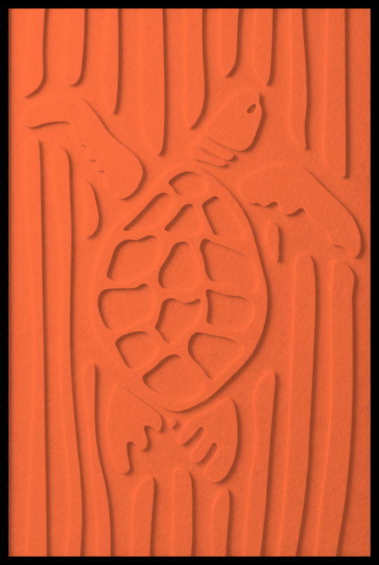 Schildpad opliggend – Orange (56)